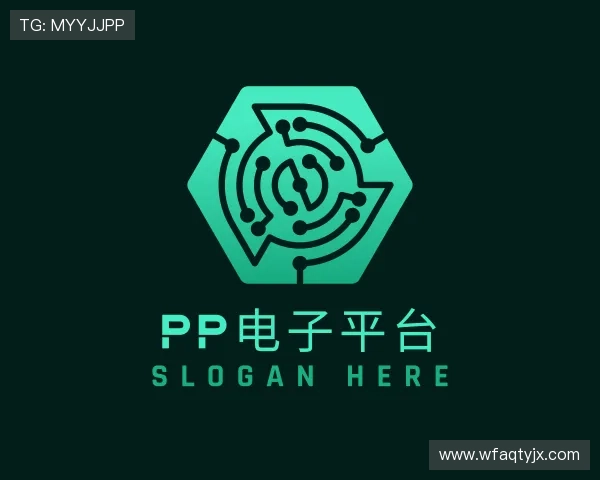 介绍pp电子平台